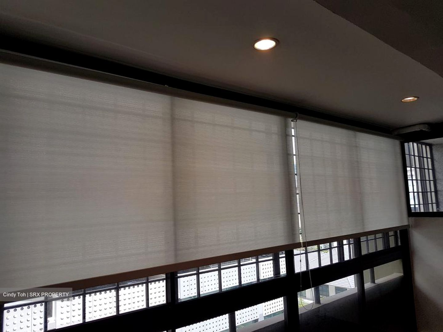 Cairnhill Road (D9), Apartment #521827381